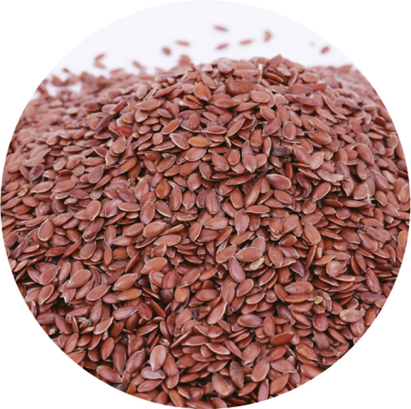 Ceinture lombaire à chauffer en graines de lin – Image 5