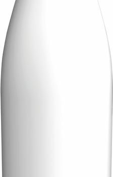 Gourde isotherme Sigg Meridian